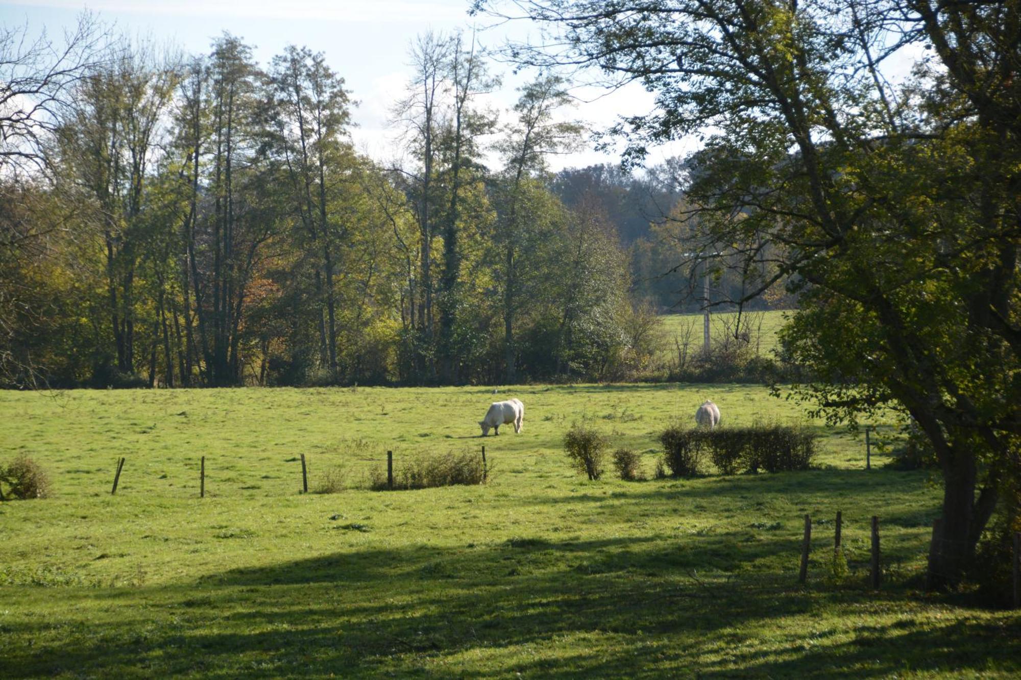 Le Moulin Grenon Mézilles Exterior foto