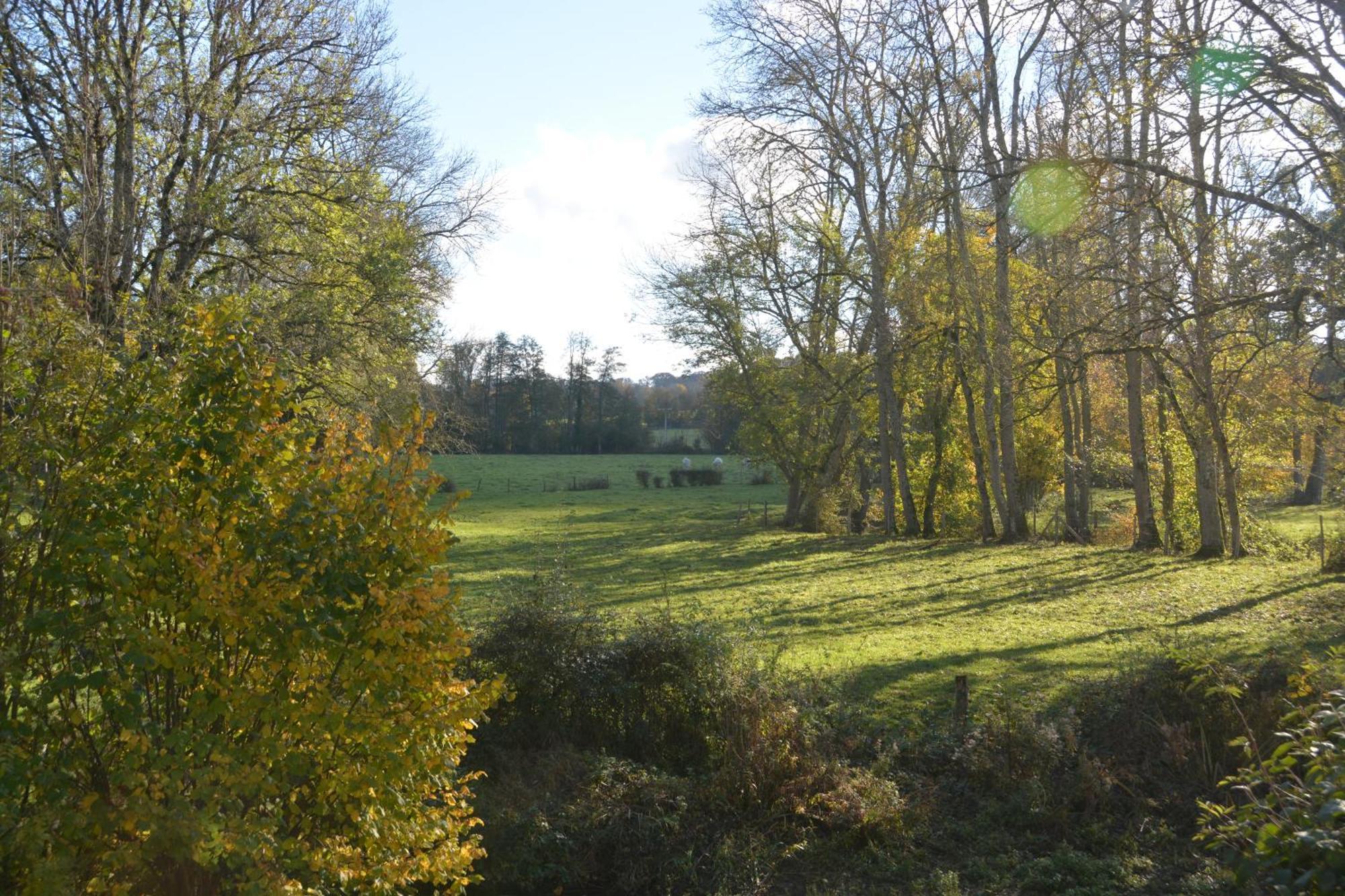 Le Moulin Grenon Mézilles Exterior foto